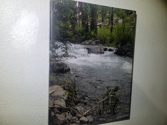 Serene 215b 12x16