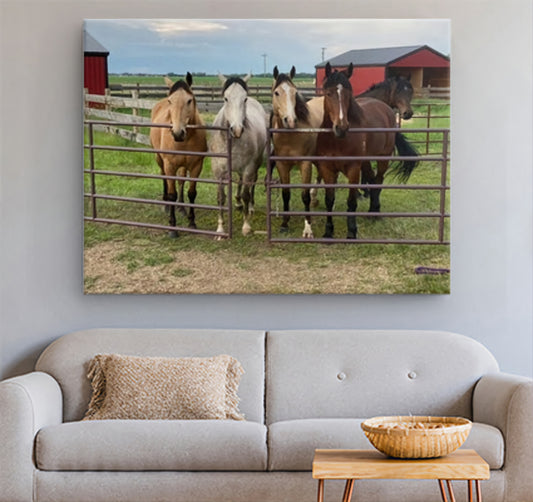 Custom Canvas