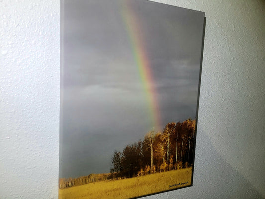 Serene S4 12x16