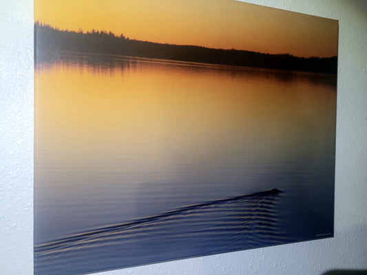 Serene17 16x20