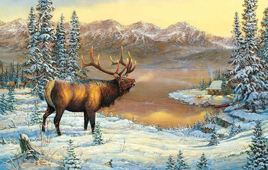 SN_Elk_03