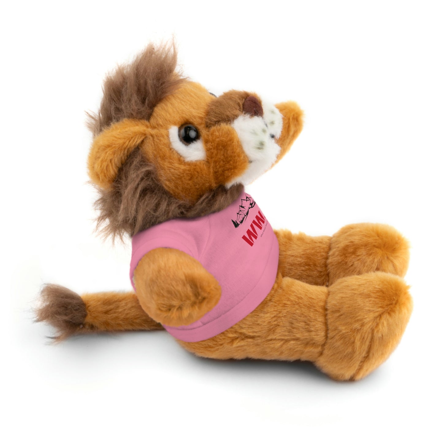 WWJD Stuffed Animals with Tee