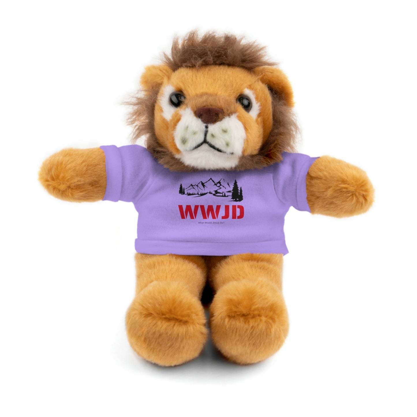 WWJD Stuffed Animals with Tee