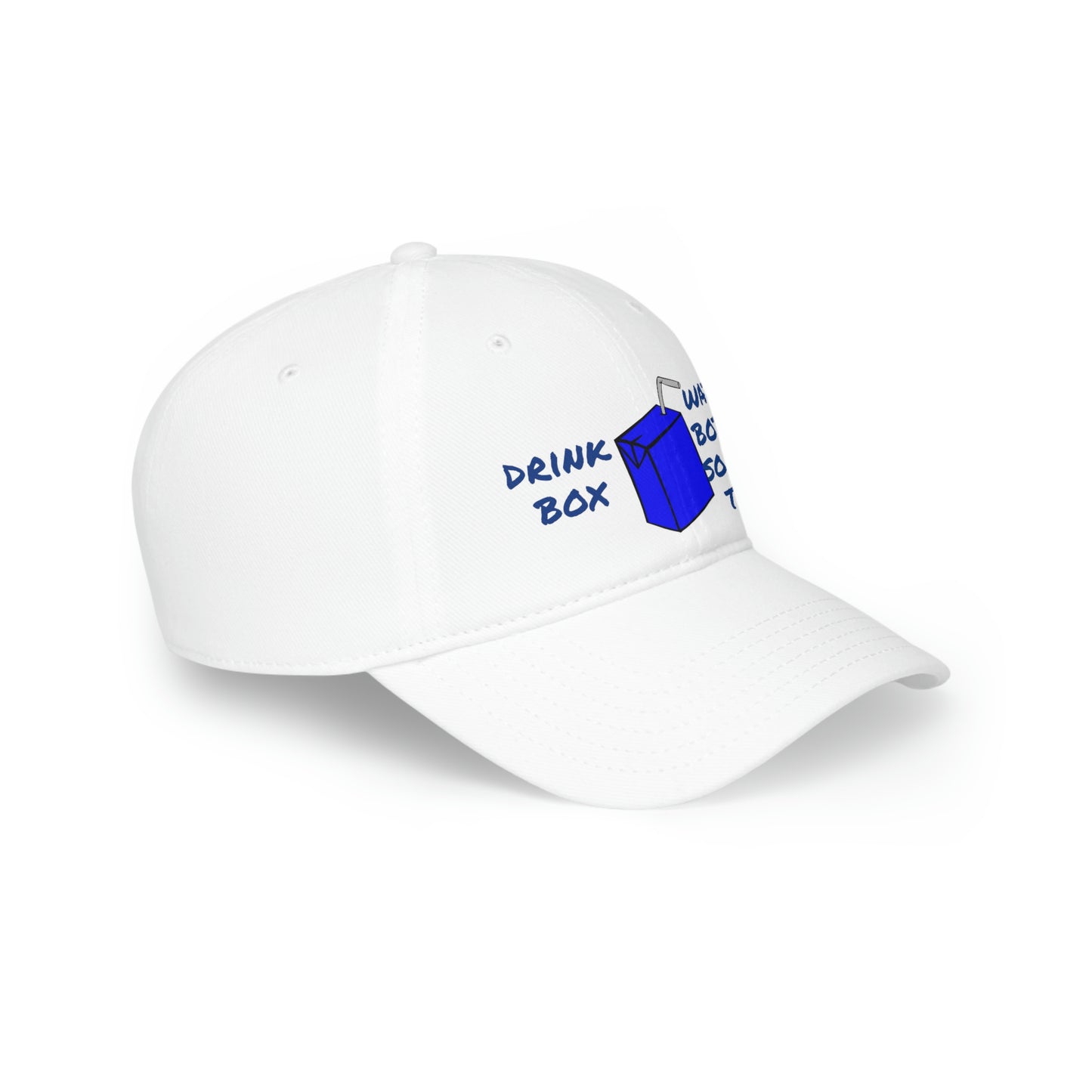 Drink Box Water Bottle Low Profile Baseball Cap