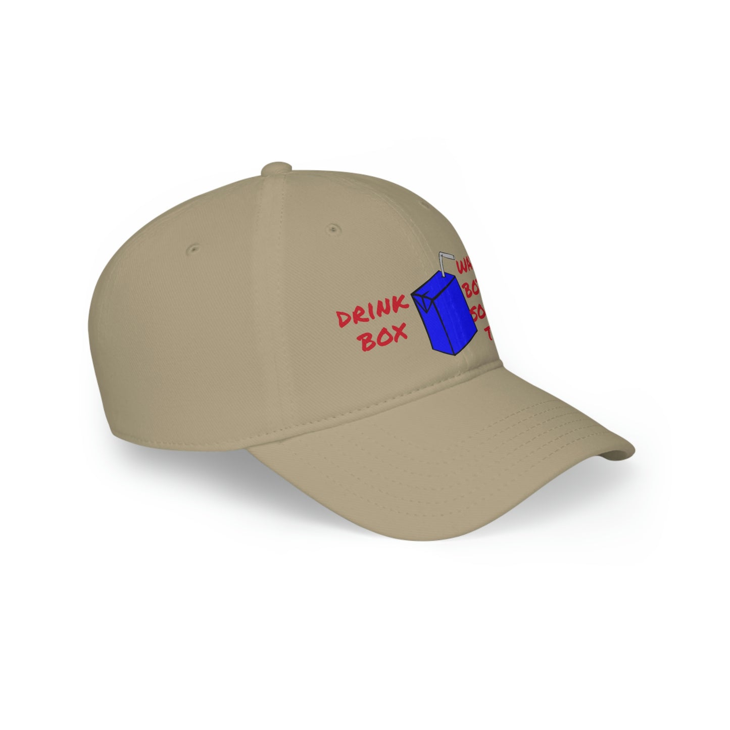 Drink Box Water Bottle Low Profile Baseball Cap