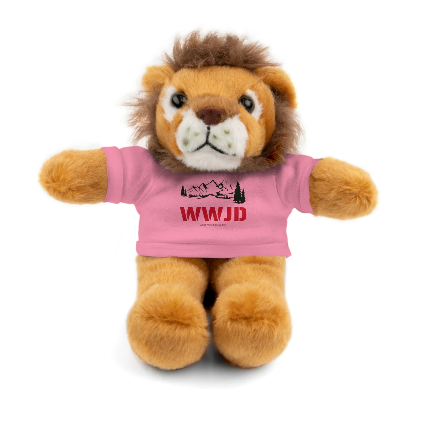 WWJD Stuffed Animals with Tee